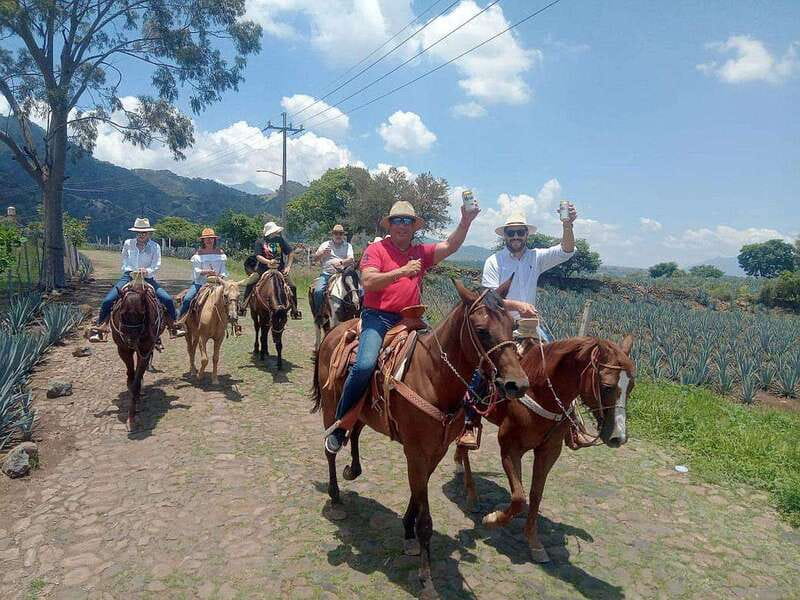 Guadalajara: Horse Riding on the Tequila Route with Tastings - A family distillery and the making of tequila