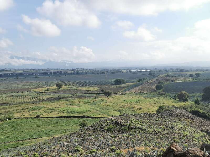 Guadalajara: Horse Riding on the Tequila Route with Tastings - Who should book this experience
