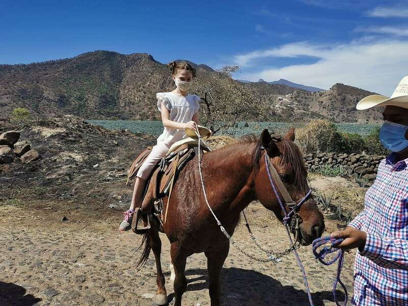 Guadalajara: Horse Riding on the Tequila Route with Tastings - From Guadalajara to Amatitán by van