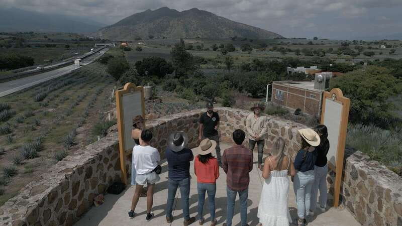 Guadalajara: Premium Tequila Tour with Tastings and Pairings - From agave fields to the first taste