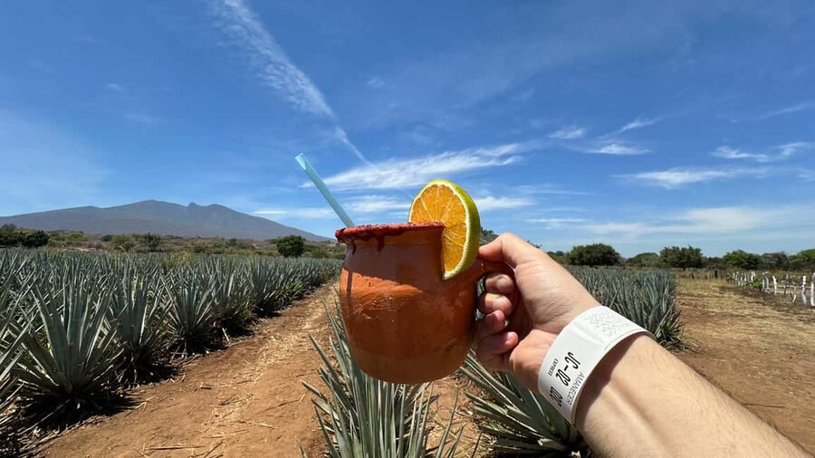 Guadalajara: Tequila Day Trip with Jose Cuervo Option - Key points to know before booking