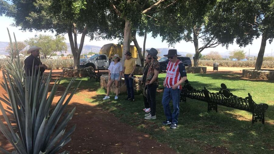 Guadalajara: Tequila Day Trip with Jose Cuervo Option - Free time in the town of Tequila
