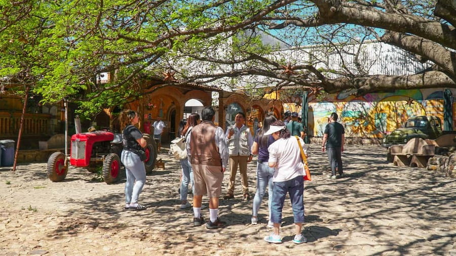 Guadalajara: Tequila Day Trip with Jose Cuervo Option - Who will enjoy this trip most