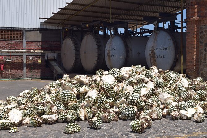 Guided Full Day Tour to Tequila and Cantaritos el Guero - Why this Guadalajara day trip works