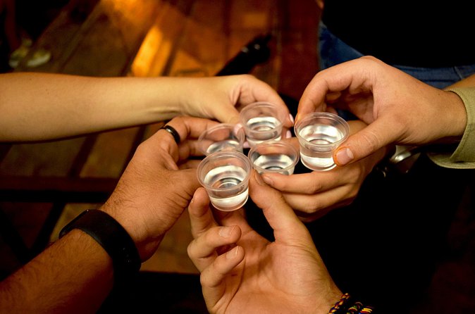 Guided Full Day Tour to Tequila and Cantaritos el Guero - The guide and the private-tour advantage