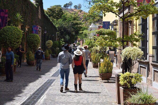 Guided Full Day Tour to Tequila and Cantaritos el Guero - Two hours among Tequila’s distilleries and center