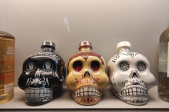 Guided Tour to the Tequila and Mezcal Museum - Plaza Garibaldi adds a sense of place