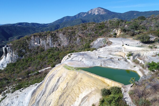 Hierve el Agua, Mitla, Tule, Teotilán and Mezcal factory - The Tule tree: a 30-minute meeting with an ancient giant