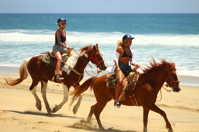 Horseback Riding Adventure in Playa Migriño with Tequila Tasting - Saddling up with calm, responsive horses