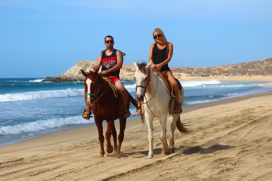 Horseback Riding Adventure in Playa Migriño with Tequila Tasting - Gray whales from January through March