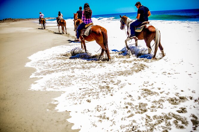 Horseback Riding Adventure in Playa Migriño with Tequila Tasting - Who will enjoy this ride most?