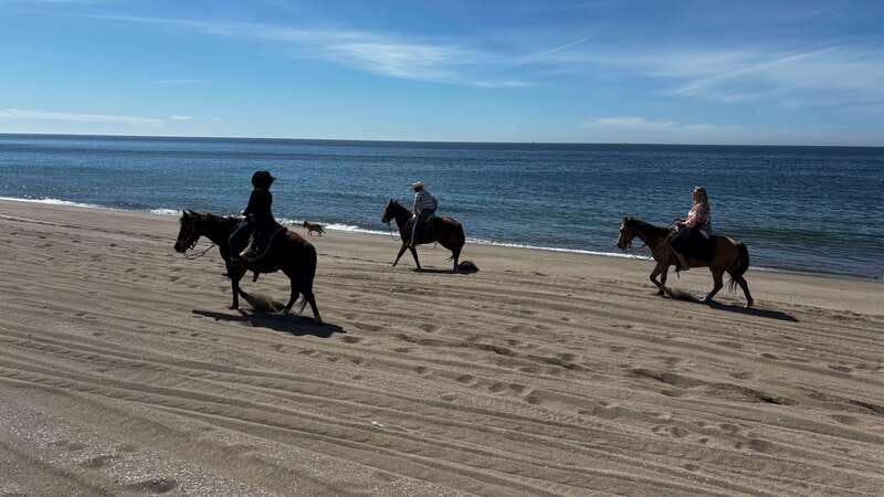 Horseback riding and Temazcal combo with lunch and mezcal - Choosing your horse and riding toward the coast