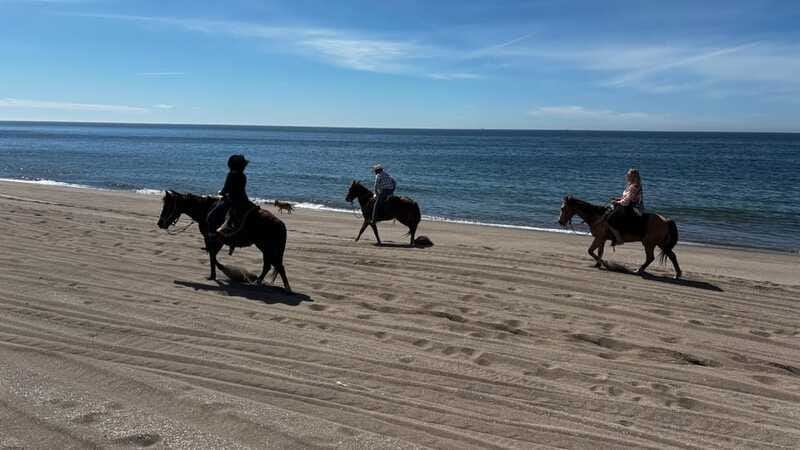 Horseback riding and Temazcal combo with lunch and mezcal - Seeing how the mezcal is made