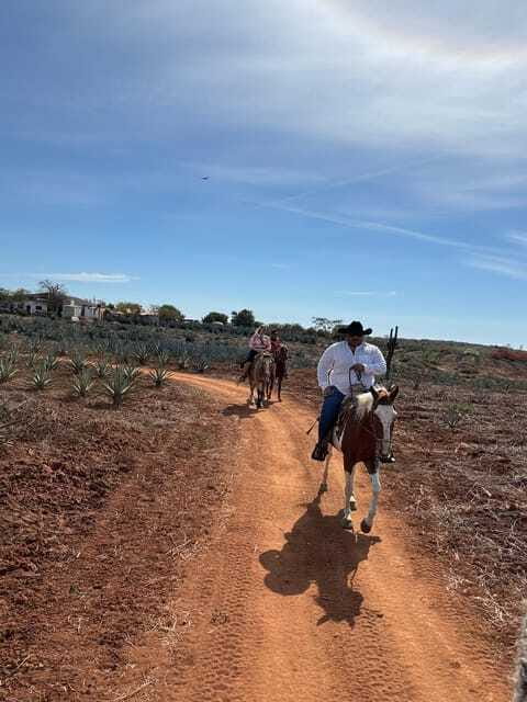 Horseback riding and Temazcal combo with lunch and mezcal - Clay, steam, and the meaning of the temazcal