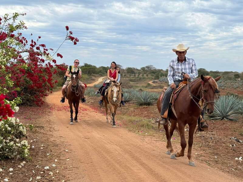 Horseback riding and Temazcal combo with lunch and mezcal - Booking advice before you leave Mazatlán