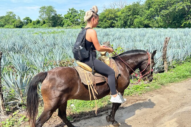 Horseback Riding & Swim: Tequila Tasting, BBQ & Margaritas - La Dulce Vista, tequila, and salsa making