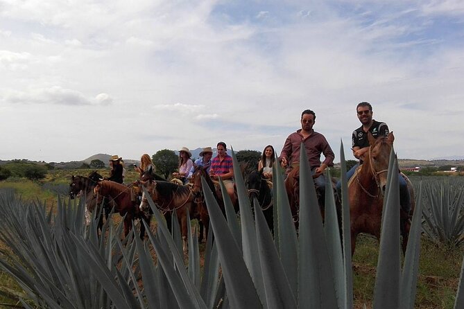 Horseback Riding Tour in The Agave Field with Lunch - Why the UNESCO setting matters