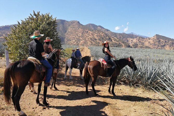 Horseback Riding Tour in The Agave Field with Lunch - Lunch below ground at La Taberna del Cofrade
