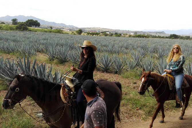 Horseback Riding Tour in The Agave Field with Lunch - A small group with a personal feel