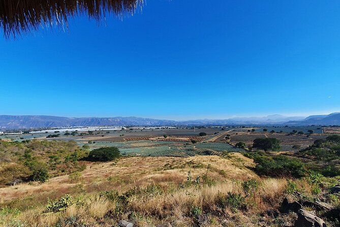 Horseback Riding Tour in The Agave Field with Lunch - What the six-hour schedule means for your day
