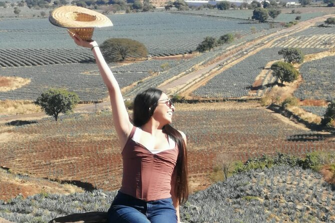 Horseback Riding Tour in The Agave Field with Lunch - Who should book this Amatitán horseback tour?