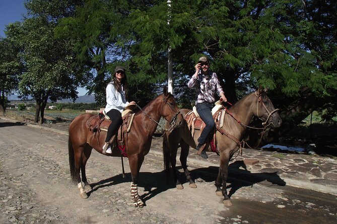 Horseback Riding Tour in The Agave Field with Lunch - Inside Cofradía’s artisan tequila factory