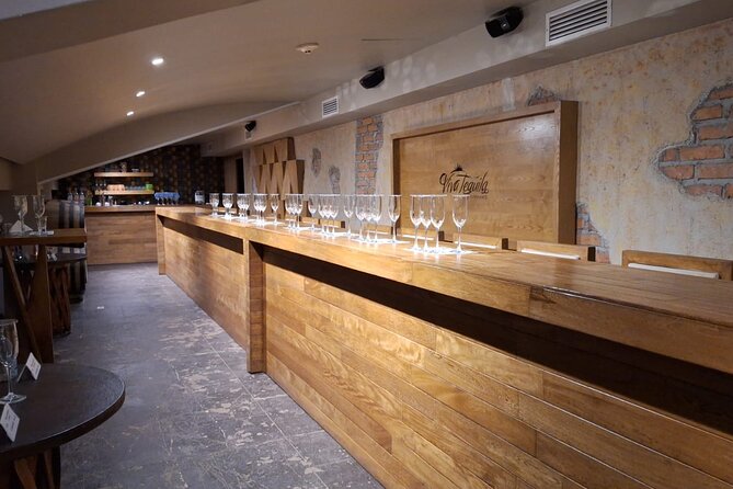 Immersive Experience & Tequila Tasting in Puerto Vallarta - Who should book this experience?
