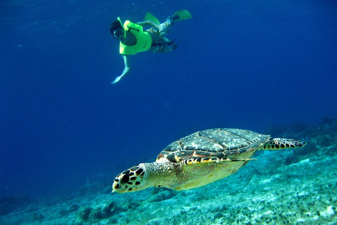 Island Flavors, Tequila & Beach Time - Starting at the Hard Rock Cafe in San Miguel