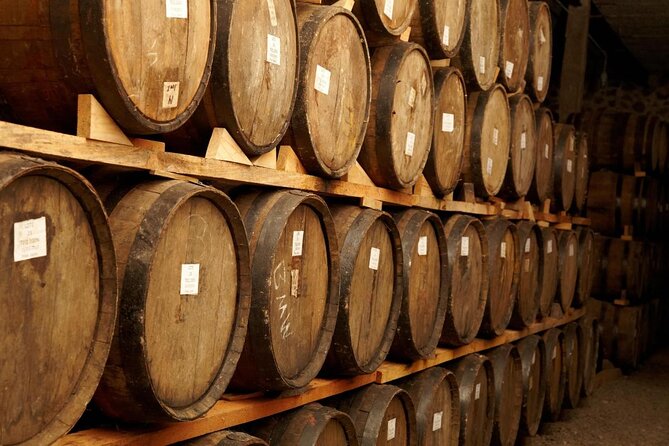 José Cuervo Tequila Day Experience from Guadalajara - Key points to know before you book