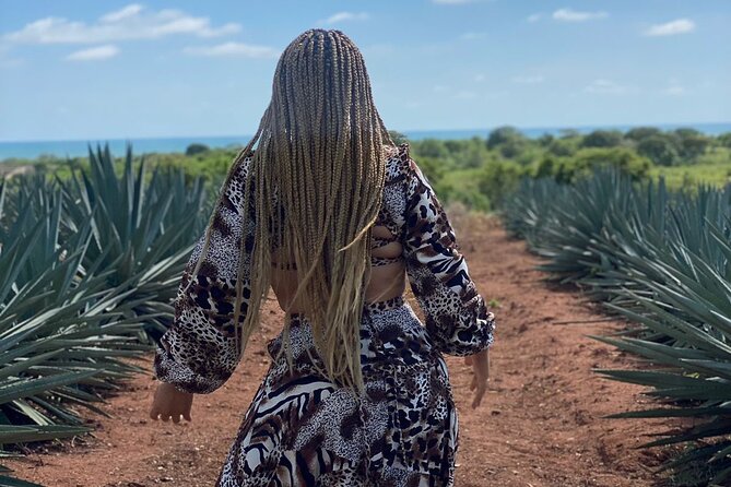 Jungle and beach ATV tour + lunch + tequila tasting - Ranch lunch with tequila cheese