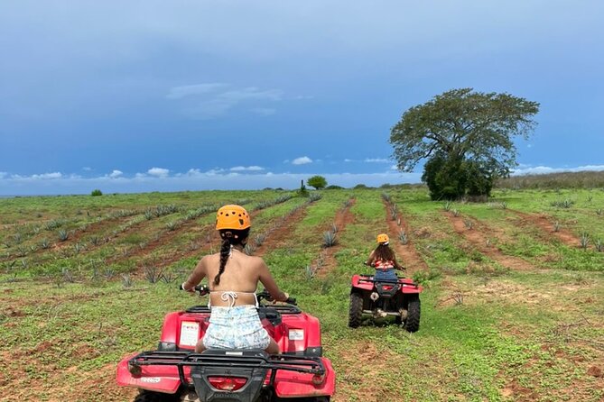 Jungle and beach ATV tour + lunch + tequila tasting - What $120 buys you in Mazatlan