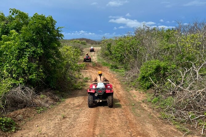 Jungle and beach ATV tour + lunch + tequila tasting - Learning to handle the ATV before the trail
