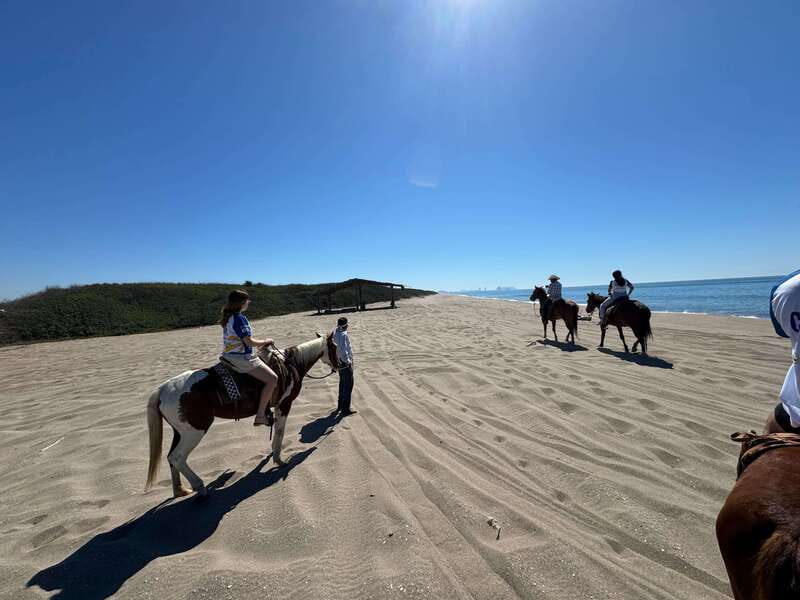 Jungle and beach horseback ride + lunch + mezcal - A 90-minute ride through jungle and sand
