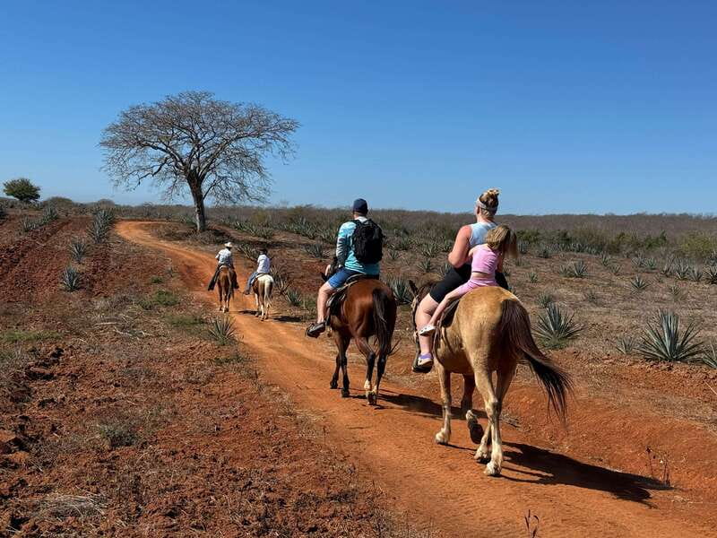 Jungle and beach horseback ride + lunch + mezcal - Seeing how the ranch makes mezcal