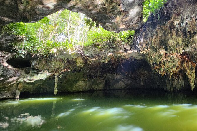 Jungle, Caverns and Tequila Mayan ATV Experience - Starting at El Cedral, Cozumel’s old village
