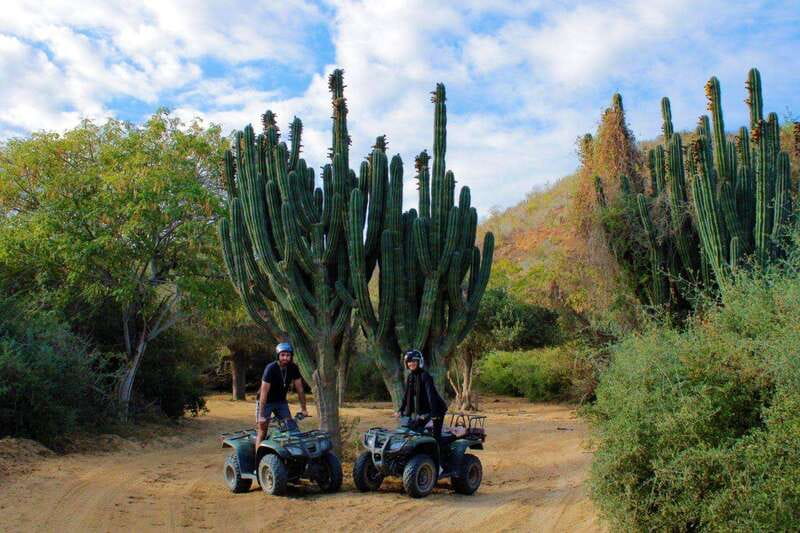 Los cabos:ATV beach&desert with transfer & tequila tasting - Who will enjoy this ATV outing