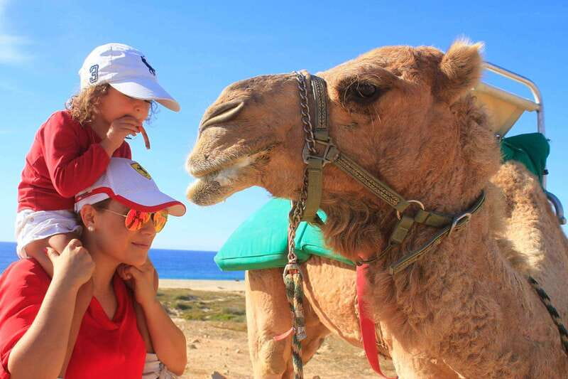 Los Cabos: Camel Ride Safari with Lunch and Tequila Tasting - Key points to know before booking