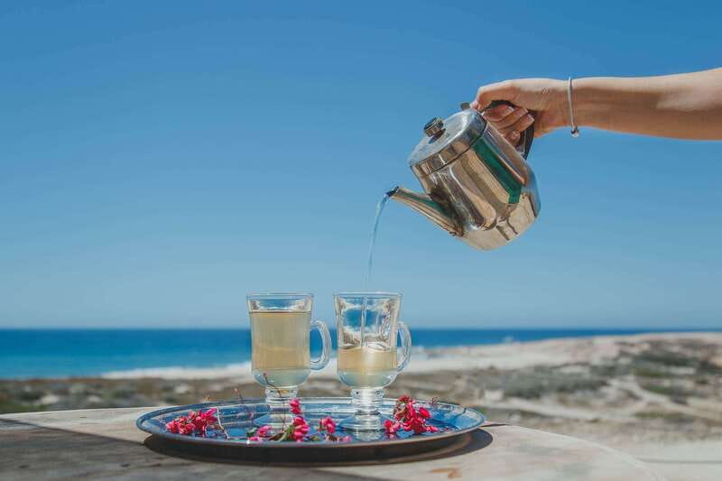 Los Cabos: Camel Ride Safari with Lunch and Tequila Tasting - Tequila tasting with the basics explained