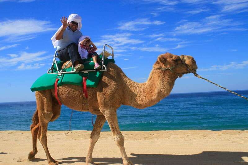 Los Cabos: Camel Ride Safari with Lunch and Tequila Tasting - Timing, pickup, and group size