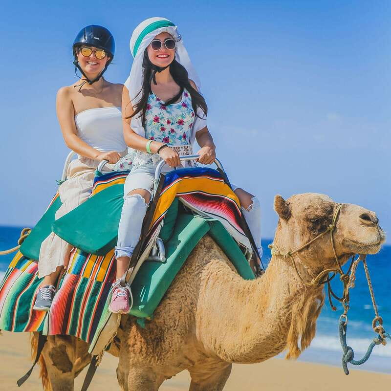 Los Cabos: Camel Ride Safari with Lunch and Tequila Tasting - Who will get the most from this tour