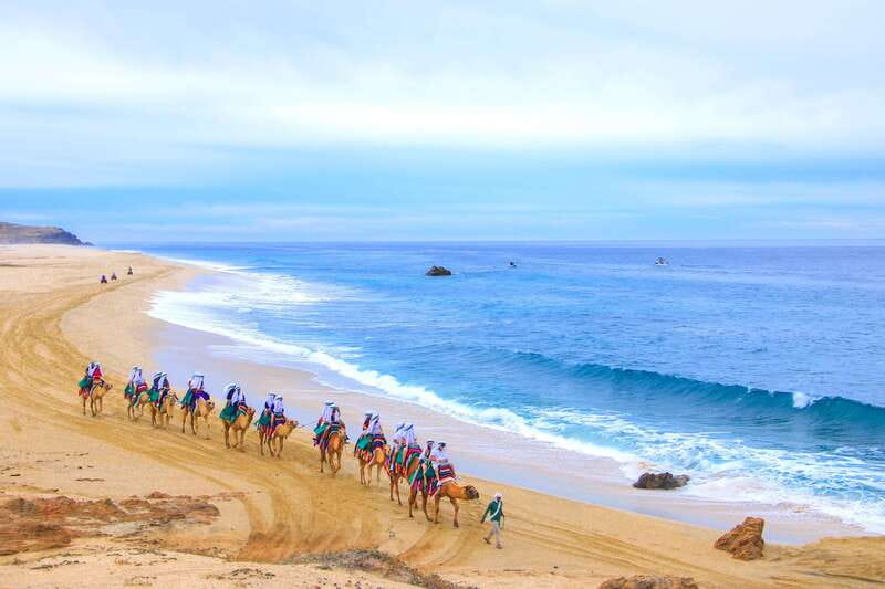 Los Cabos: Camel Ride Safari with Lunch and Tequila Tasting - Is $140 a fair price?