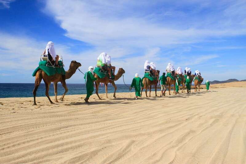 Los Cabos: Camel Ride Safari with Lunch and Tequila Tasting - Practical packing advice