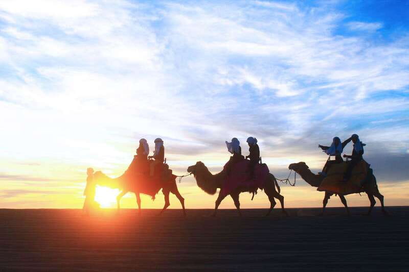 Los Cabos: Camel Ride Safari with Lunch and Tequila Tasting - Meeting the camels near the Pacific