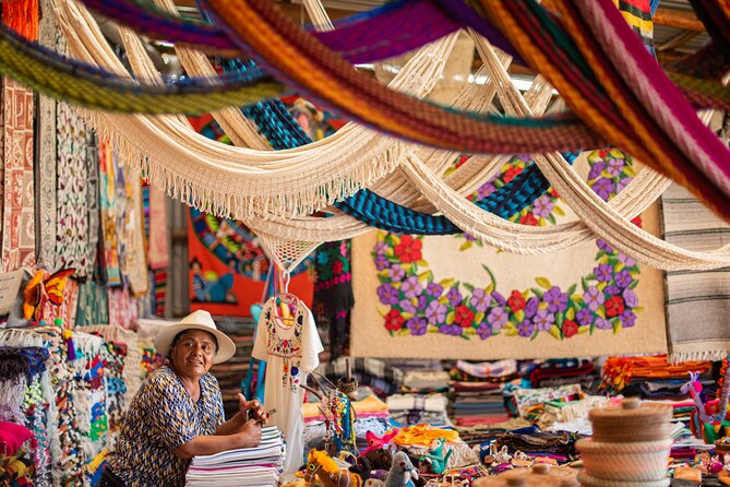 Magical Todos Santos Tour, Camel Ranch, Lunch and Tequila - Meeting the camels at Tierra Sagrada