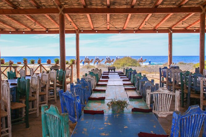 Magical Todos Santos Tour, Camel Ranch, Lunch and Tequila - An oceanside Mexican buffet with a strong finish