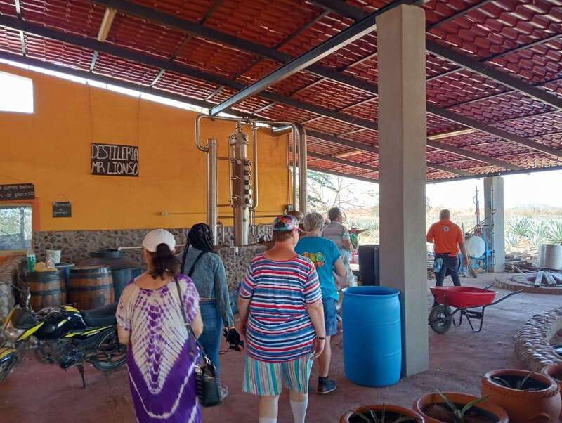Mazatlán: Beach & Jungle ATV Tour w/ Lunch & Tequila Tasting - Should you book the Mr. Lionso Ranch ATV tour?
