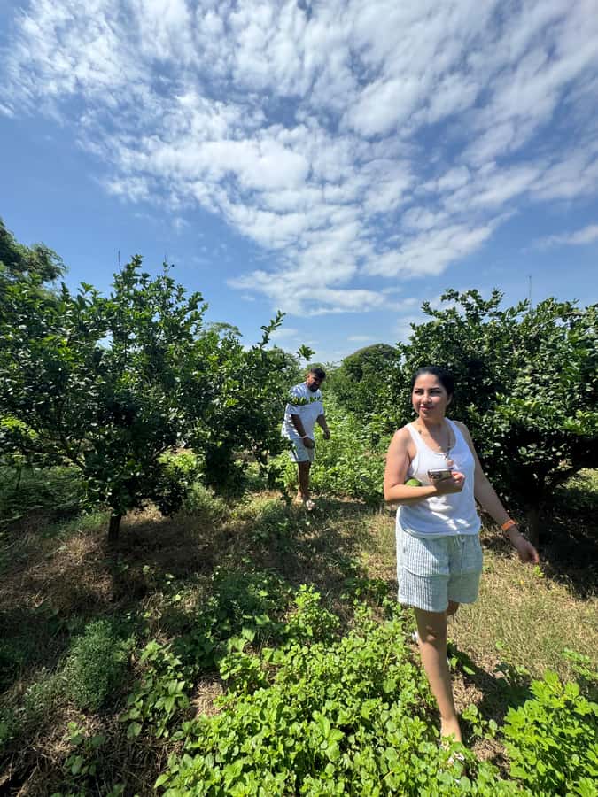 Mazatlán: Fruit Tour with Lunch and Mezcal Tasting - Leaving Mazatlán for a Working Orchard