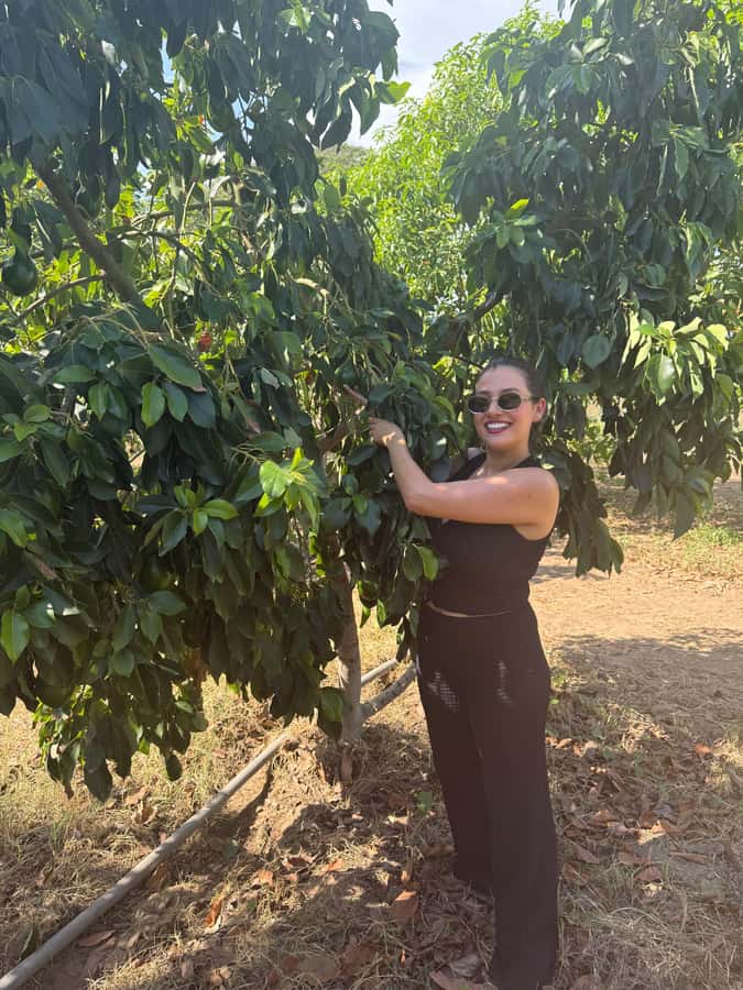 Mazatlán: Fruit Tour with Lunch and Mezcal Tasting - What the Guide Can Add