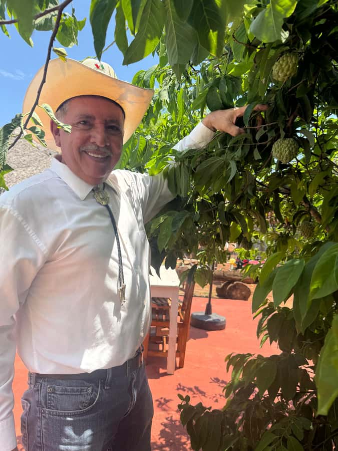 Mazatlán: Fruit Tour with Lunch and Mezcal Tasting - Is $58 a Good Value?