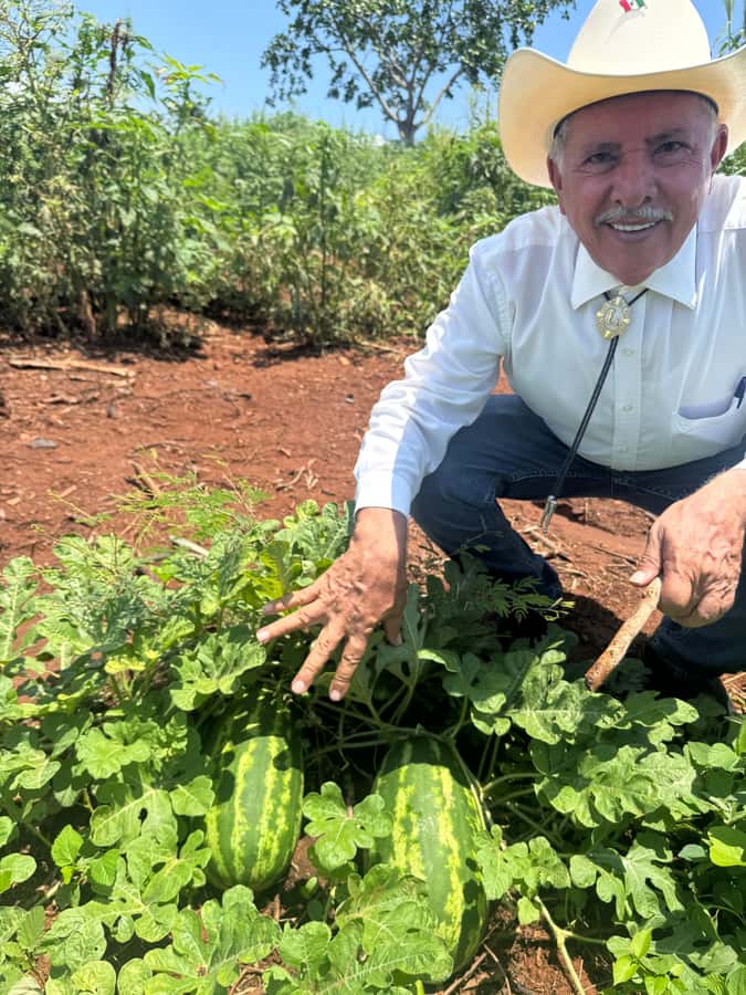 Mazatlán: Fruit Tour with Lunch and Mezcal Tasting - Who Should Book This Ranch Outing?